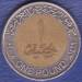 1 Pound 2008 - AH 1429 (١٤٢٩ - ٢٠٠٨ ) 1 Pound 2008 - AH 1429 (١٤٢٩ - ٢٠٠٨ )