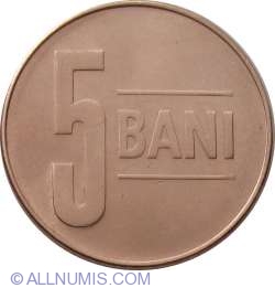 5 Bani 2008