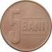 1 : 5 Bani 2008