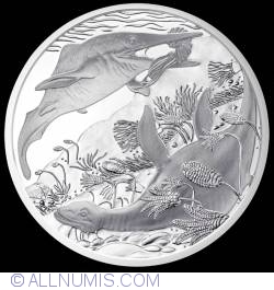 Image #2 of 20 Euro 2013 - Triassic - Life In The Water