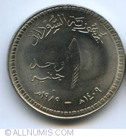 1 Pound 1989 (AH1409)