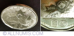 1 Dollar 2016 - Olympic Lucky Loonie