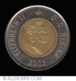 Image #1 of 2 Dolari 2003