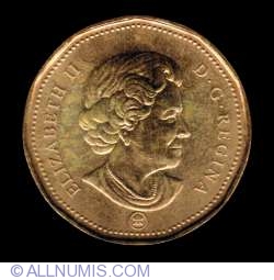 1 Dollar 2006 (ml)