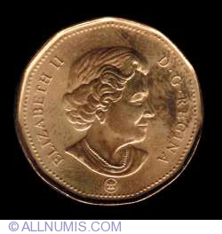 Image #1 of 1 Dolar 2008 - Cufundarul norocos