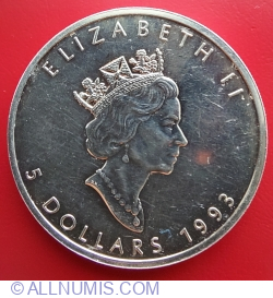 Image #1 of 5 Dollars 1993 - Maple Leaf