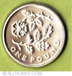 1 Pound 2013 - England