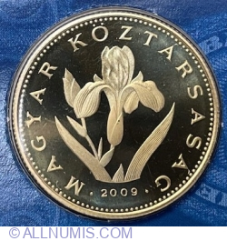 Image #2 of 20 Forint 2009