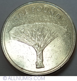 Image #1 of 1 Pound 2014