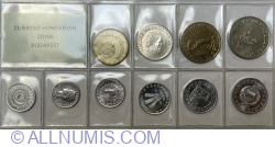 Mint Set 1985