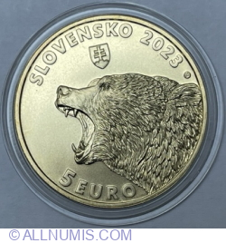 5 Euro 2023 - Brown Bear