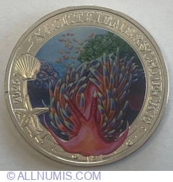 3 Euro 2025 - Luminous Marine Life - Nudibranch