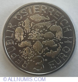 3 Euro 2025 - Luminous Marine Life - Nudibranch