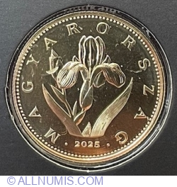 20 Forint 2025