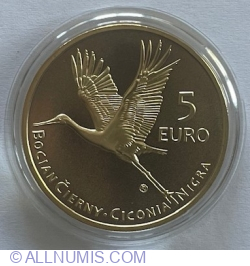 5 Euro 2023 - Black Stork