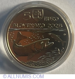Image #1 of 5 Euro 2025 - Fauna and Flora in Slovakia - Danube Salmon