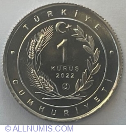 Image #1 of 1 Kurus 2022 - Anatolian Leopard