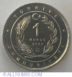 Image #1 of 1 Kurus 2022 - Asian Lion