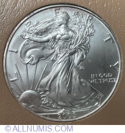 Silver Eagle 2005