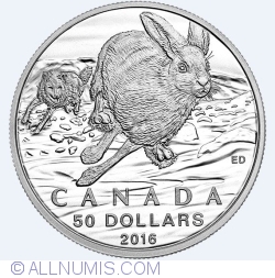 Image #2 of 50 Dollars 2016 - Hare & Wolf