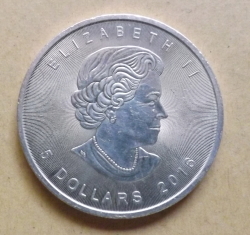 Image #2 of 5 Dollars 2016