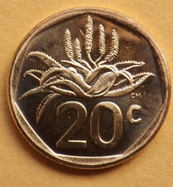 20 Centi 2024