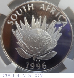1 Rand Protea 1996 - Constitution