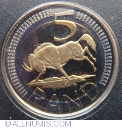 5 Rand 2004