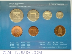 Mint Set 1993 - KM202-206, 210 + Limburg medal