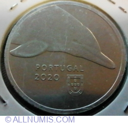 Image #2 of 5 Euro 2020 - The dolphin