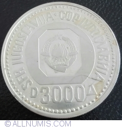 Image #1 of 3000 Dinari 1987 -  Vuk Karadžić