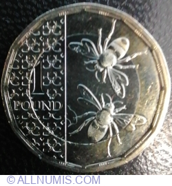 Image #1 of 1 Pound 2025