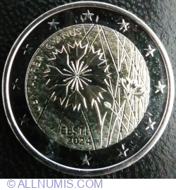 2 Euro 2024 - The Estonian national flower, the Cornflower