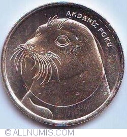 Image #2 of 1 Lira 2013 - Monk Seal