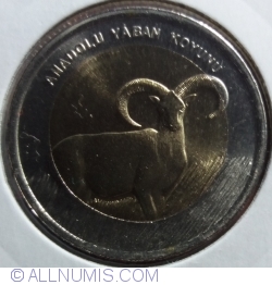 Image #2 of 1 Lira 2015 - Anatolian Mouflon