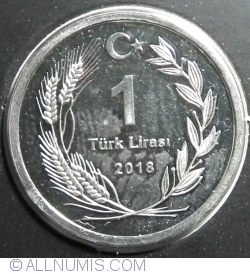 Image #1 of 1 Lira 2018