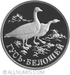 Image #2 of 1 Rouble 1998 - The White-Neck Goos