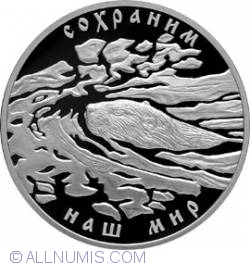 Image #2 of 3 Ruble 2008 - Castorul European