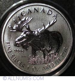 Image #1 of 5 Dolari 2012 - Wildlife-Moose