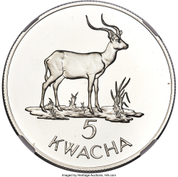 Image #1 of [PROOF] 5 Kwacha 1979 - Conservare