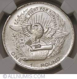 Image #1 of 1 Pound 1969