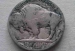 2 : Buffalo Nickel 1920