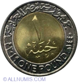 1 Pound 2019 (AH1441) - Ministry of Social Solidarity