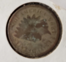 Indian Head Cent 1895