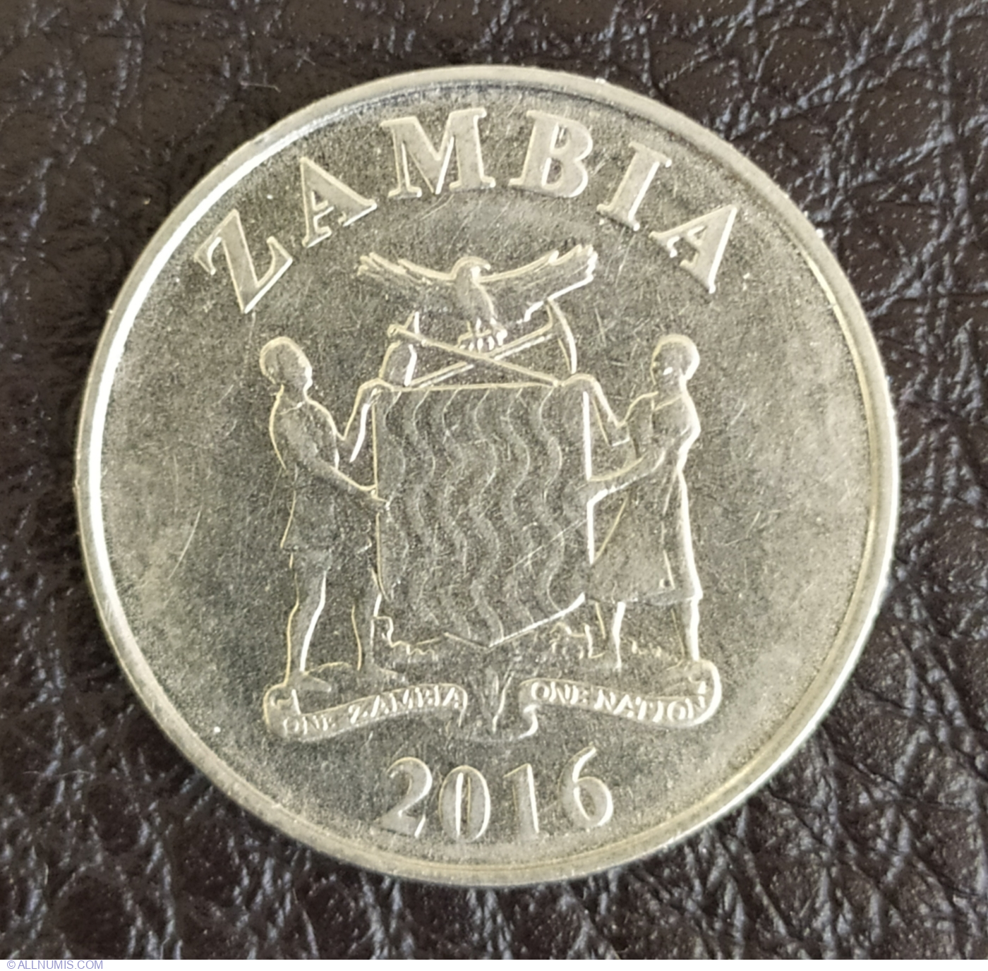 1 Kwacha 2016 Republic 1964 Present Zambia Coin 44949   1 Kwacha 216859 36533138e1132L 