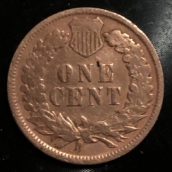 Indian Head Cent 1896
