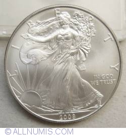 Silver Eagle 2008
