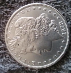 (FALS) Morgan Dollar 1878