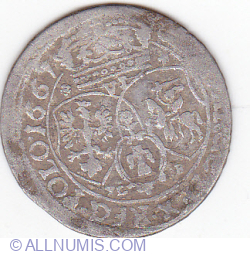 6 Groszy 1667 - TL B