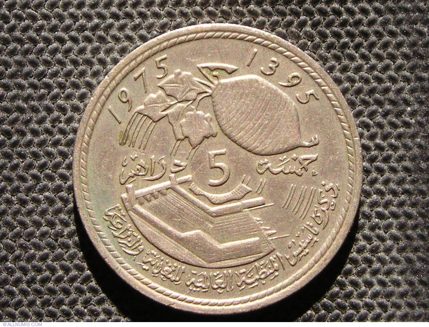 5 Dirhams 1975 AH 1395 Hassan II 1961 1999 Maroc Moned 17751